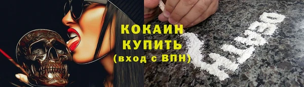 мдпв Верхний Тагил
